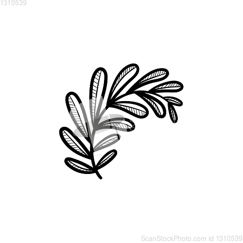 Image of Leaves on branch hand drawn sketch icon.