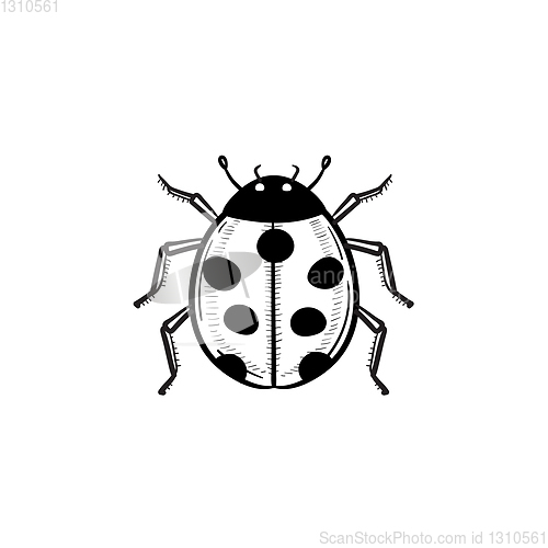 Image of Ladybug hand drawn sketch icon.