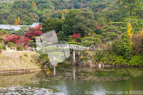 Image of Japanese garden in autumn