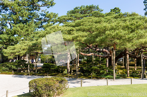 Image of Kenrokuen garden in Kanazawa