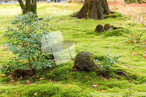 Image of Japanese temple in autumn, Sanzenin Warabe Jizo