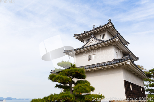 Image of Marugame Castle in Japan