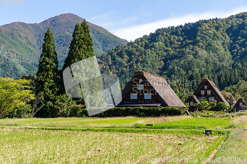 Image of Shirakawago village in Japan