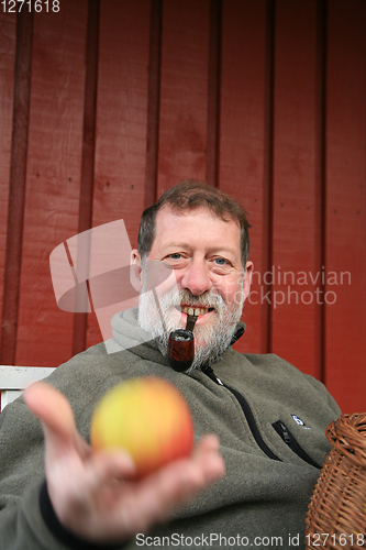 Image of Mature scandinavian man outdoor with apples 