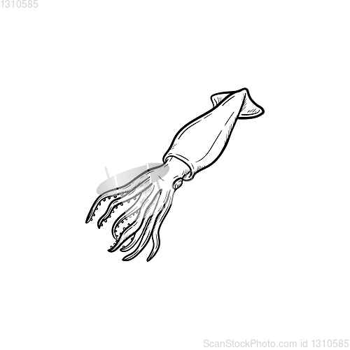 Image of Squid hand drawn sketch icon.