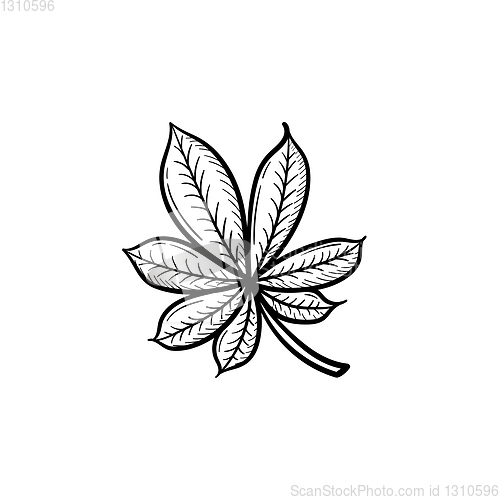 Image of Chestnut leaf hand drawn sketch icon.