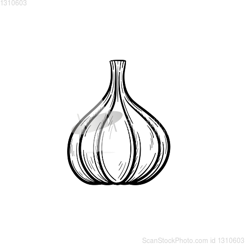 Image of Garlic hand drawn sketch icon.