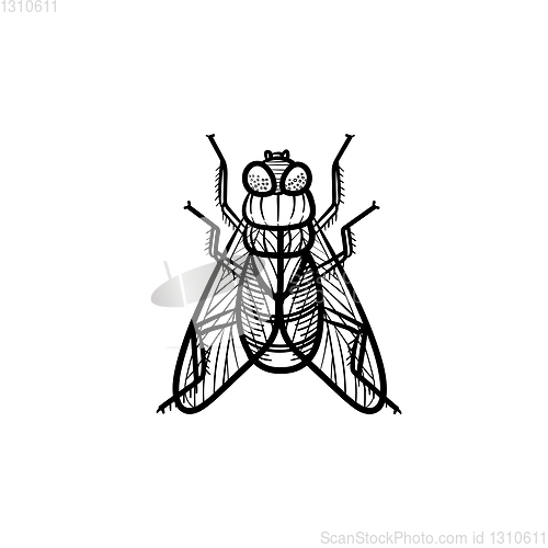 Image of Fly hand drawn sketch icon.