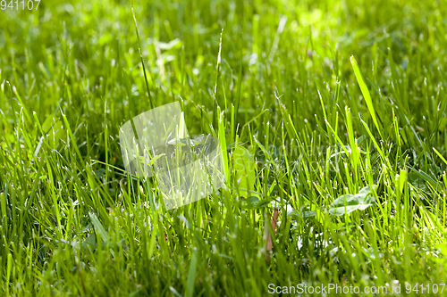 Image of beveled lawn