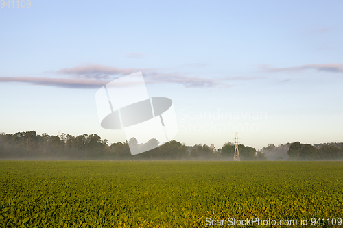 Image of High-voltage power lines