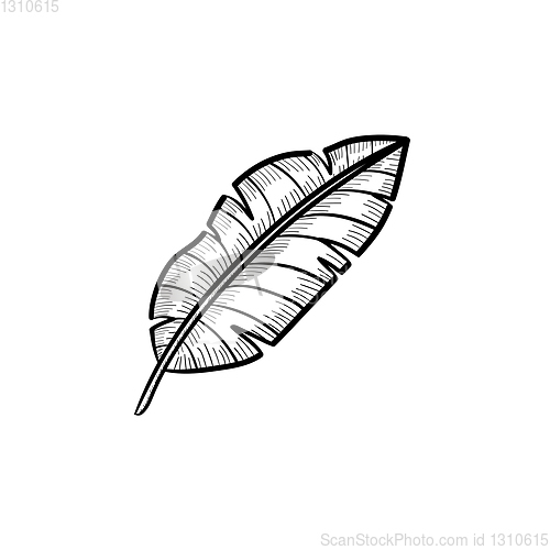 Image of Banana leaf hand drawn sketch icon.