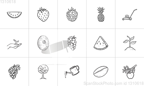 Image of Agriculture food hand drawn sketch icon set.