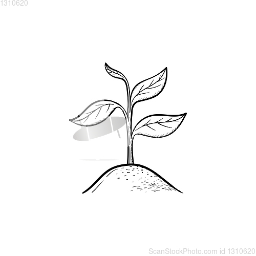 Image of Sprout hand drawn sketch icon.