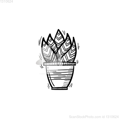 Image of Sansevieria trifasciata hand drawn sketch icon.