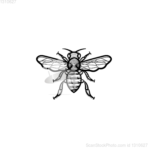 Image of Bee hand drawn sketch icon.