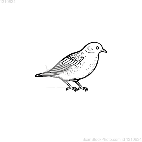 Image of Bird hand drawn sketch icon.