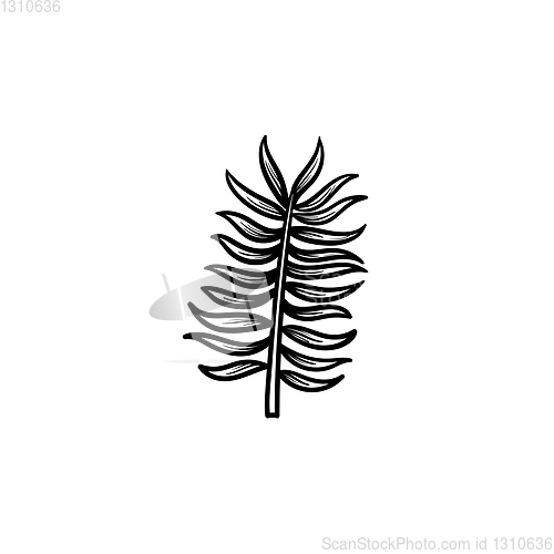 Image of Leaves of palm tree hand drawn sketch icon.