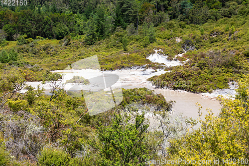 Image of geothermal activity at Whakarewarewa Rotorua New Zealand