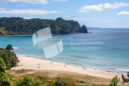 Image of hot springs beach New Zealand Coromandel