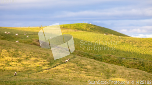 Image of sunset landscape New Zealand north island