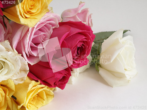 Image of Roses for You