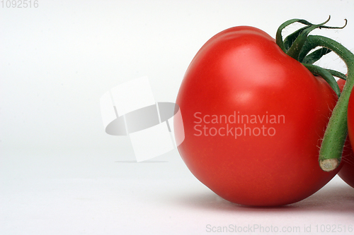 Image of Tomato