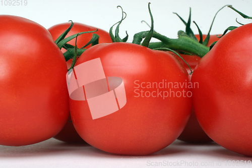 Image of Tomato