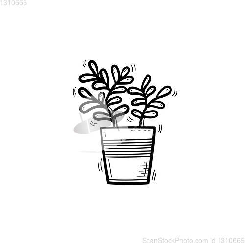 Image of Ficus in a pot hand drawn sketch icon.