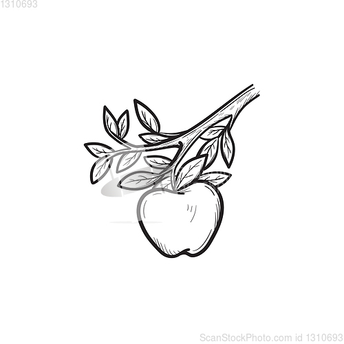 Image of Apple harvest hand drawn sketch icon.