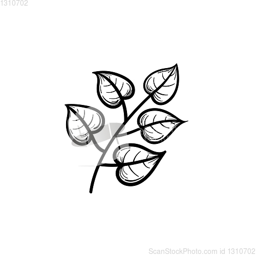 Image of Linden leaves on branch hand drawn sketch icon.