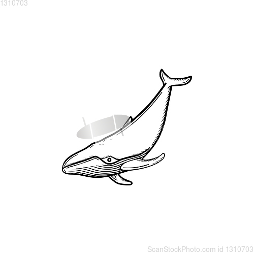 Image of Whale hand drawn sketch icon.