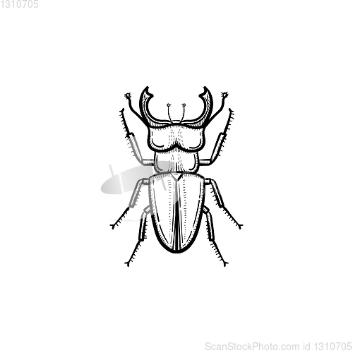 Image of Beetle hand drawn sketch icon.