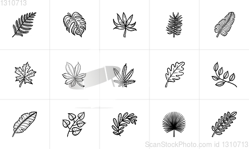 Image of Leaves of plants and trees sketch icon set.