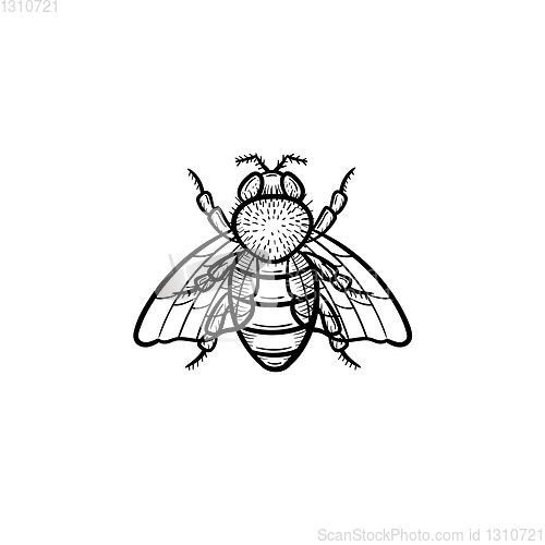 Image of Fly hand drawn sketch icon.