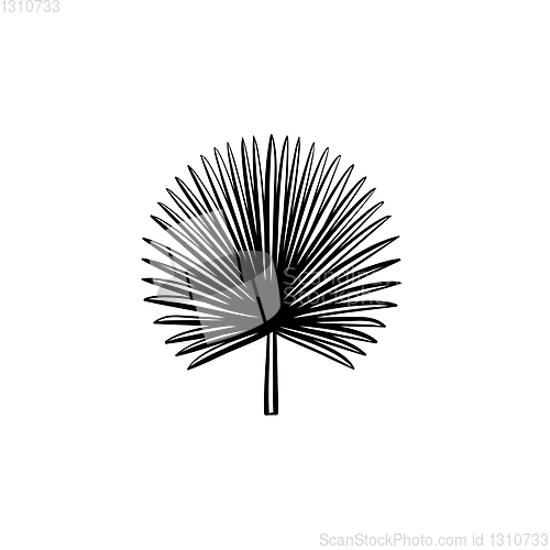 Image of Spiky palm leaves hand drawn sketch icon.