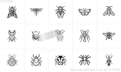 Image of Insects sketch icon set.