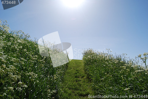 Image of summer day