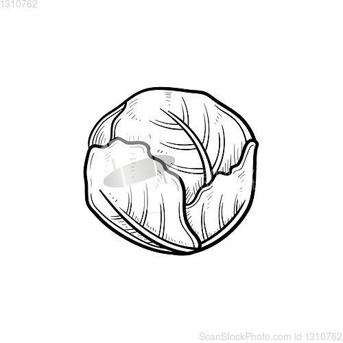 Image of Cabbage hand drawn sketch icon.