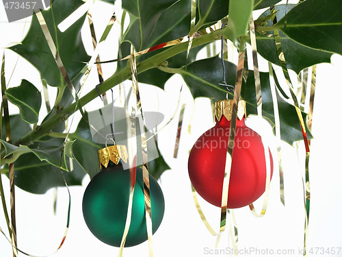 Image of Bulbs on Holly