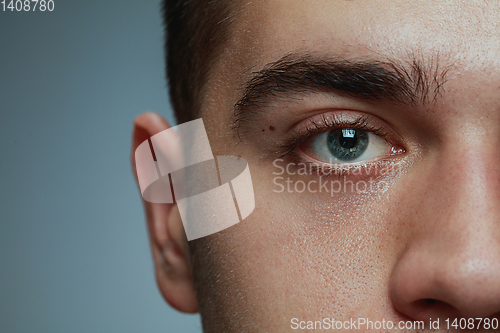 Image of Close-up portrait of young man isolated on grey studio background