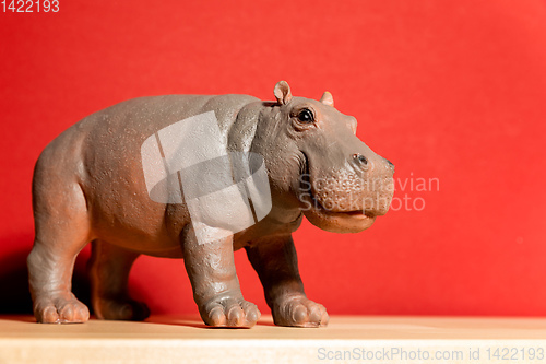 Image of hippopotamus figure isolated on red background