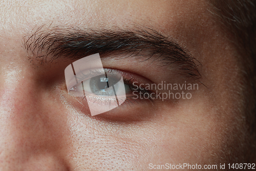 Image of Close-up portrait of young man isolated on grey studio background