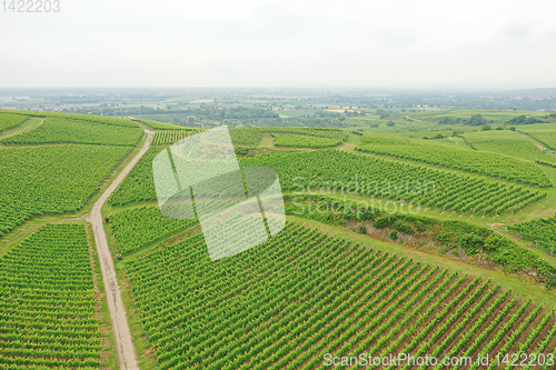 Image of aerial view vineyard scenery at Kaiserstuhl Germany