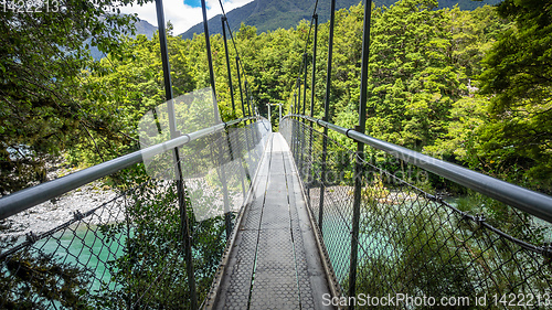 Image of Haast River Landsborough Valley New Zealand