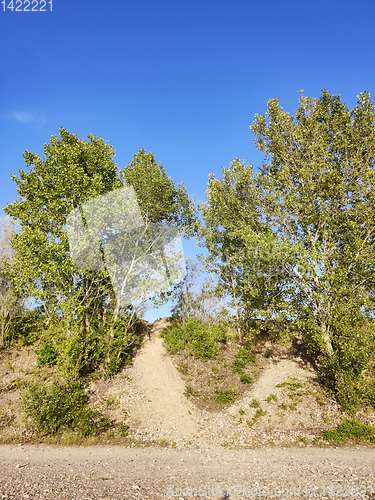 Image of bushes and sky nature background