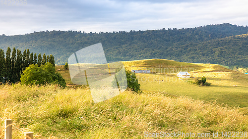 Image of sunset landscape New Zealand north island