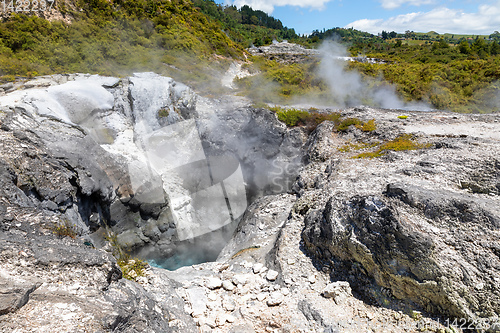 Image of geothermal activity at Whakarewarewa Rotorua New Zealand