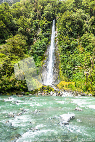 Image of Thunder Creek Falls, New Zealand