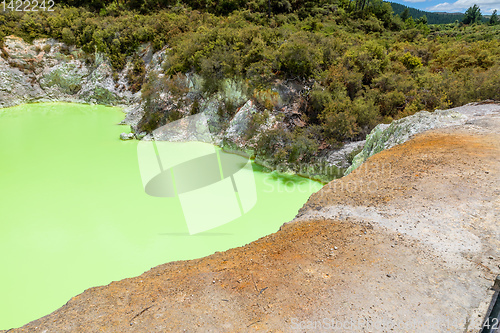 Image of geothermal activity at Rotorua in New Zealand