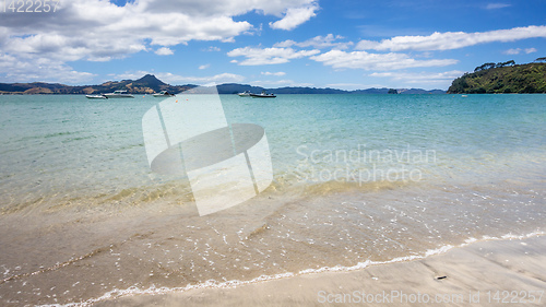 Image of hot springs beach New Zealand Coromandel